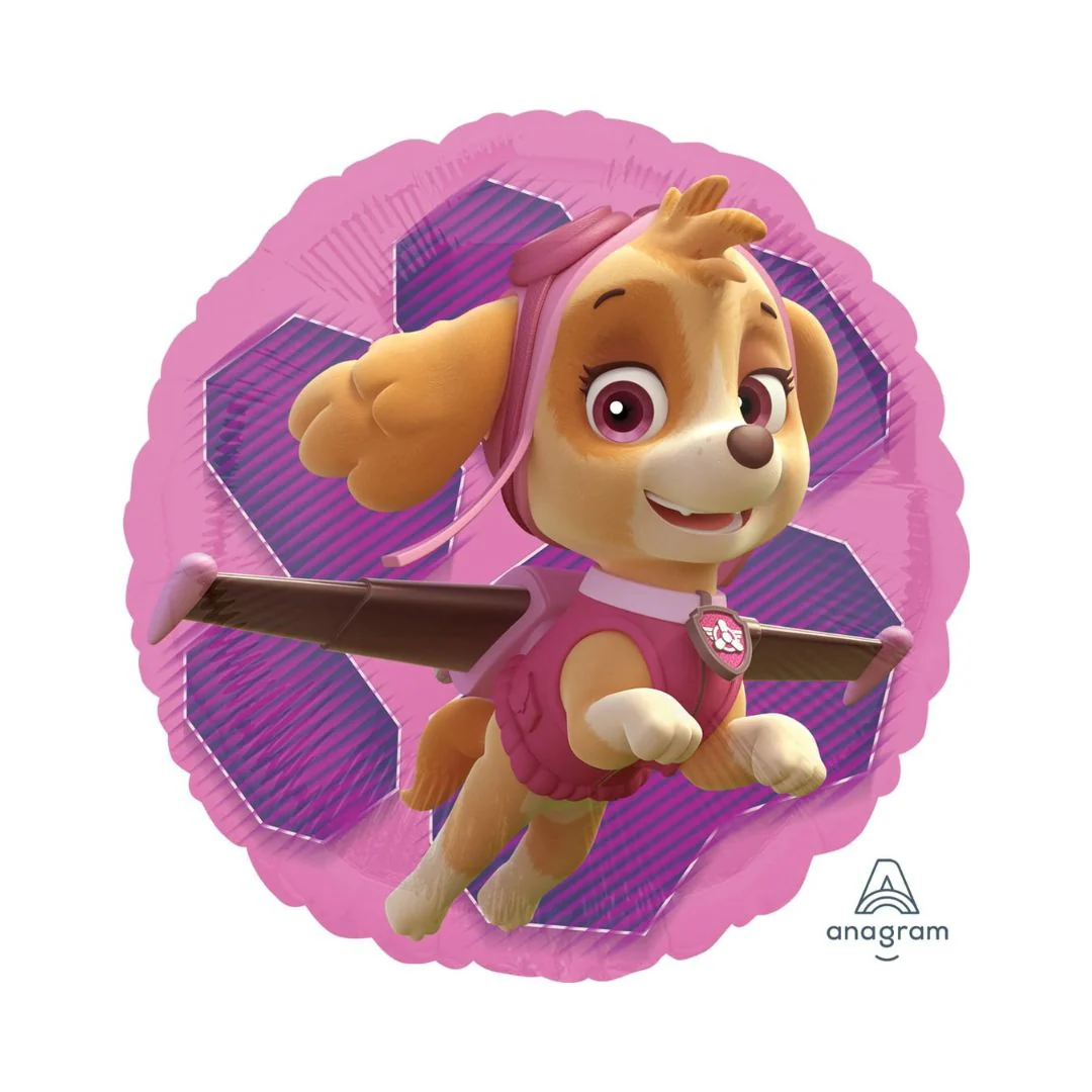 Paw Patrol Skye & Everest Double-sided 18" Circle Foil Balloon (1)