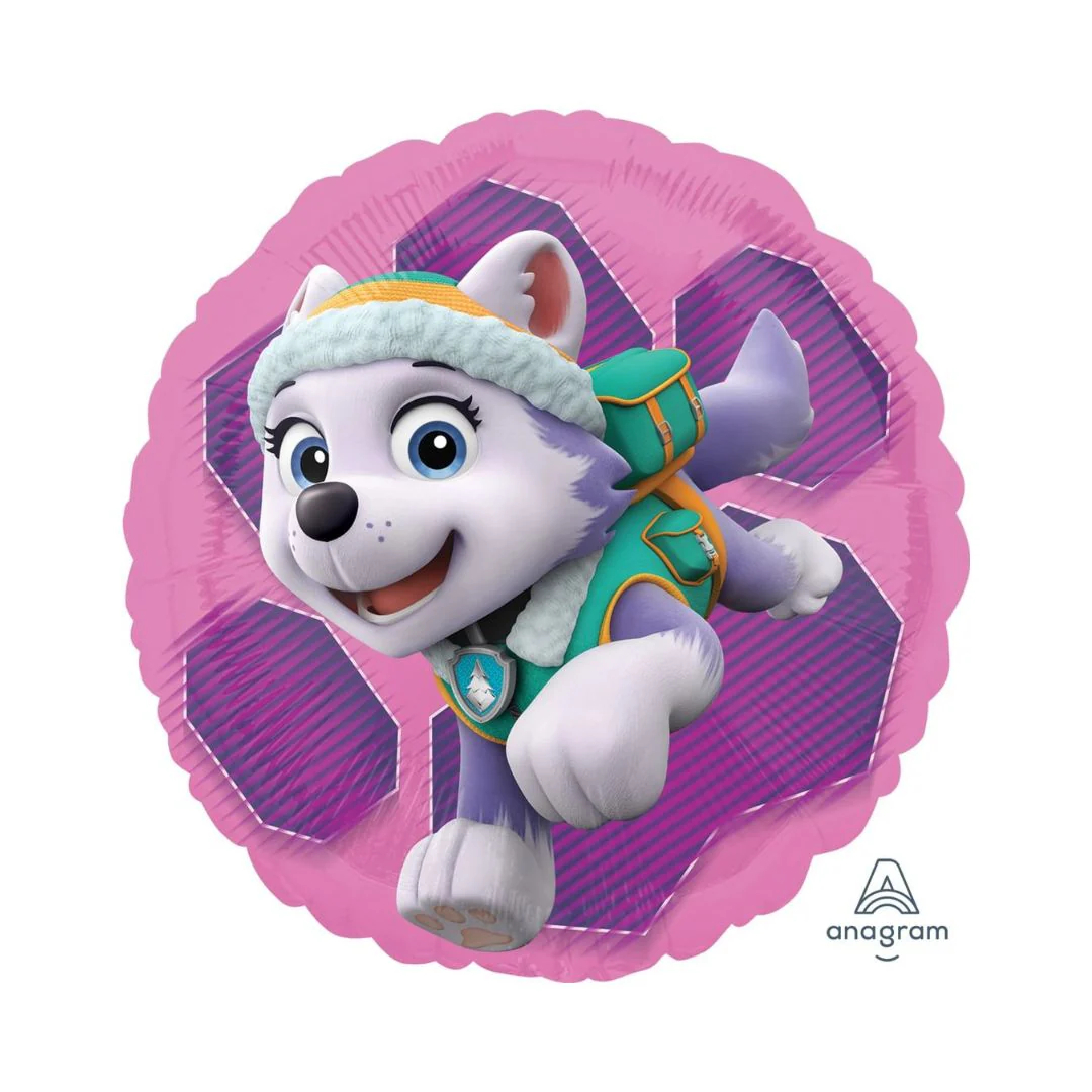 Paw Patrol Skye & Everest Double-sided 18" Circle Foil Balloon (1) - Image 2
