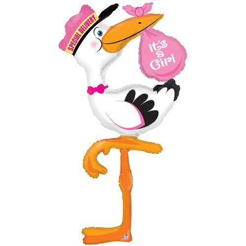 Special Delivery Stork Girl Supershape