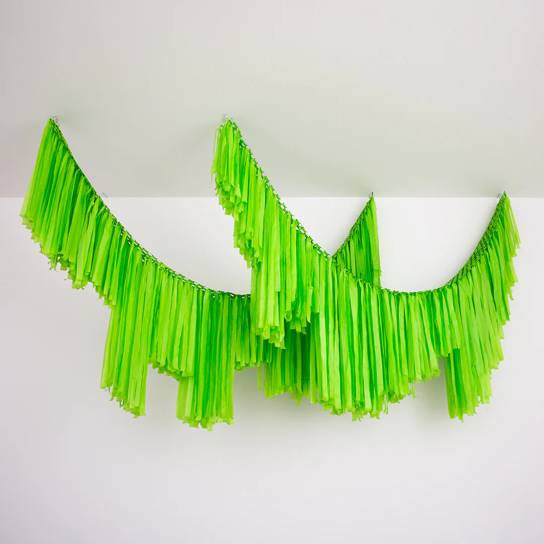 Tassel Fringe Kiwi Green 3m Section (1)